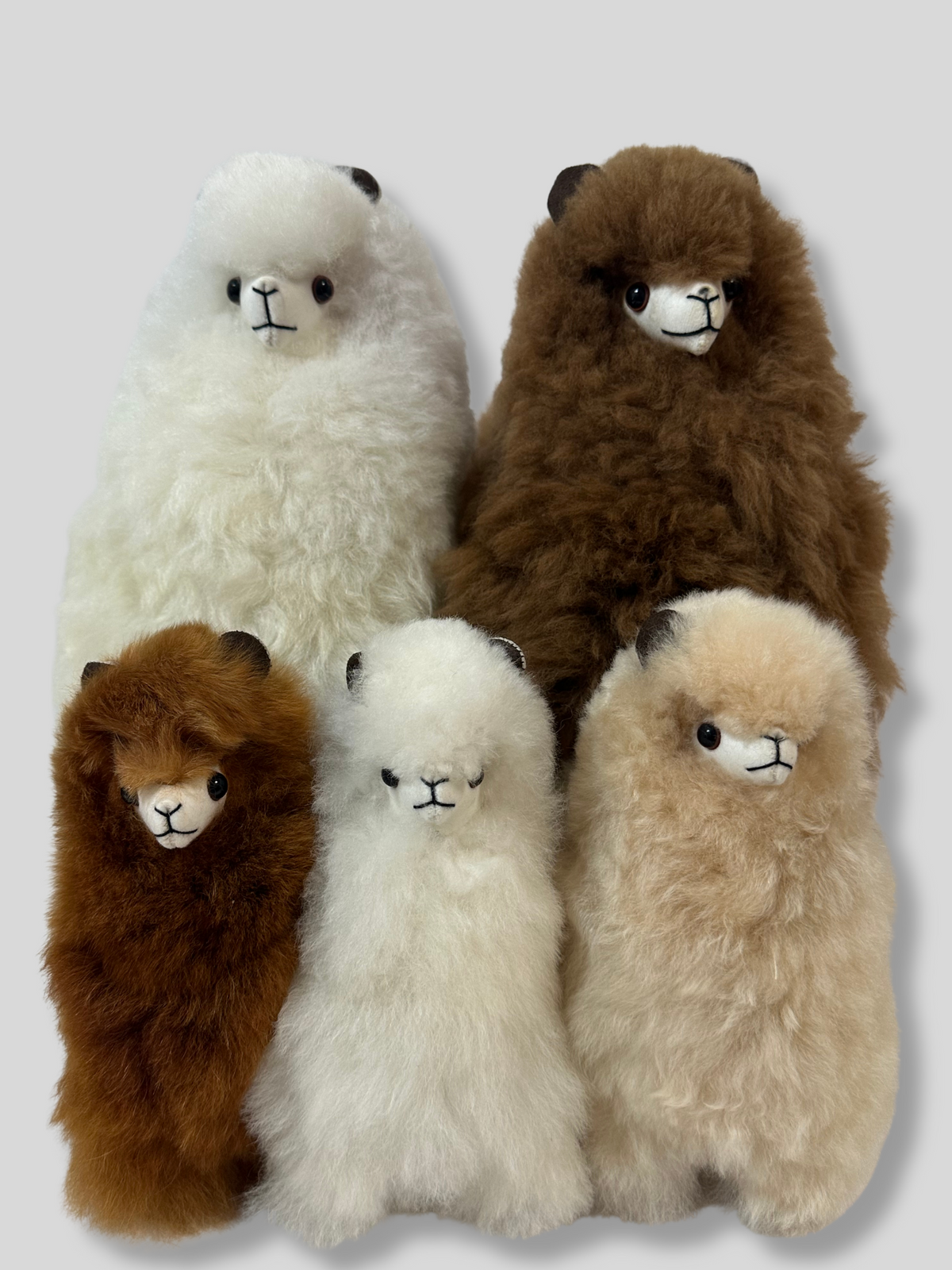 Alpaca stuffed animal, your best collection.