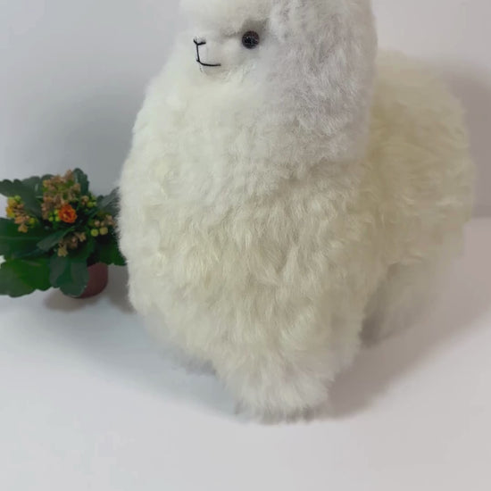 Peluche alpaca blanco hecho a mano, suave y único. Perfecto para decorar tu hogar o regalar a alguien especial.