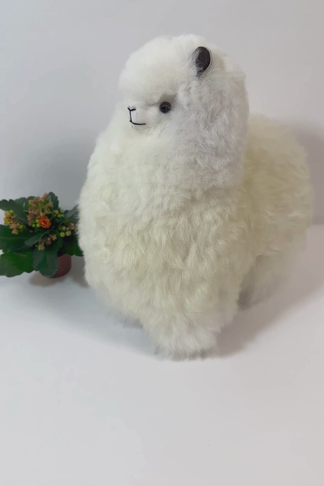 Peluche alpaca blanco hecho a mano, suave y único. Perfecto para decorar tu hogar o regalar a alguien especial.